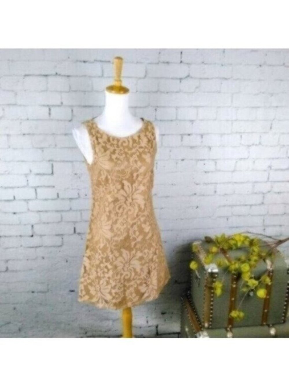 Lucy Paris Embroidered Sleeveless Shift Dress Tan Small
